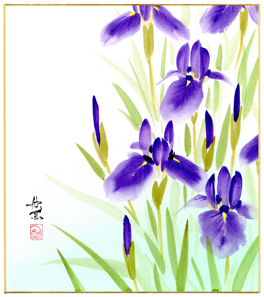 IRIS ENSATA (Nishimura Kingyo) – 美和 Miwa Japanese Art